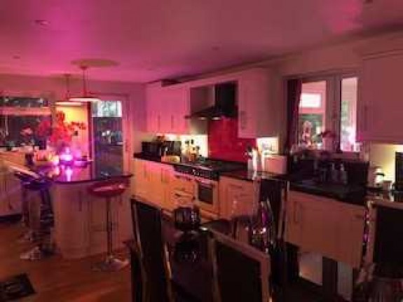 Kitchen Diner/ Family Room